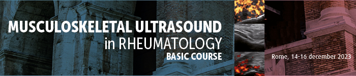 Musculoskeletal Ultrasound in Rheumatology Basic Course
